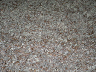 DSCN3258.JPG